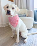 Dog Bandana